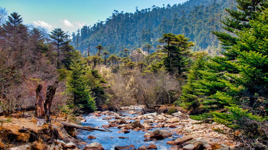 Jigme Dorji National Park