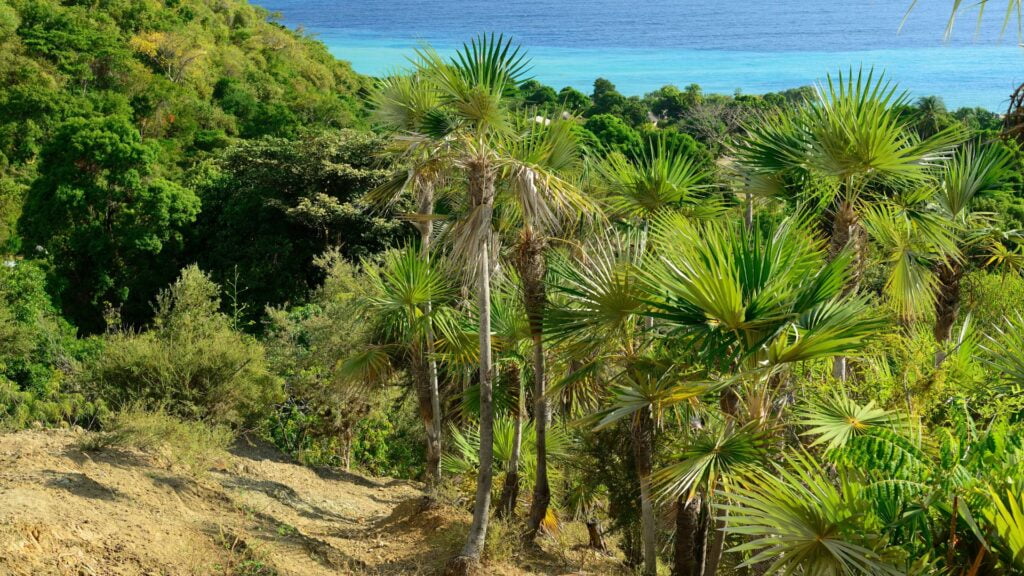 Pico Turquino, Cuba
