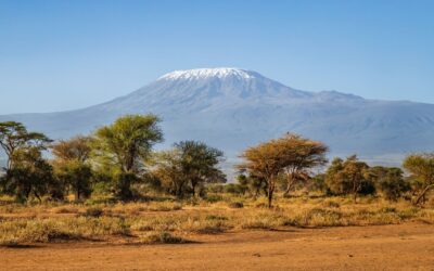 Your Fun Guide to Trekking Mount Kenya Volcano
