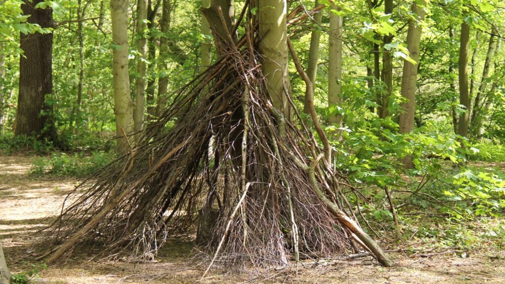 A bivouac shelter