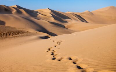 What to Wear in a Hot Desert – Tips for Staying Cool