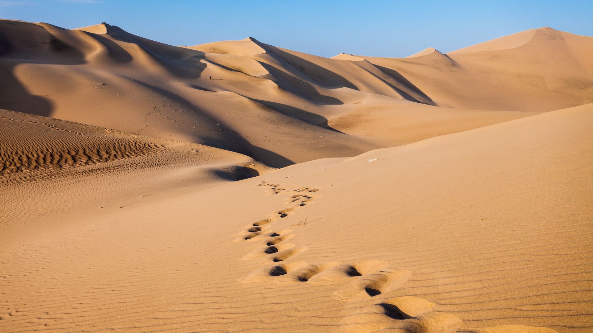 What to Wear in a Hot Desert – Tips for Staying Cool What to Wear in a Hot Desert - Tips for Staying Cool