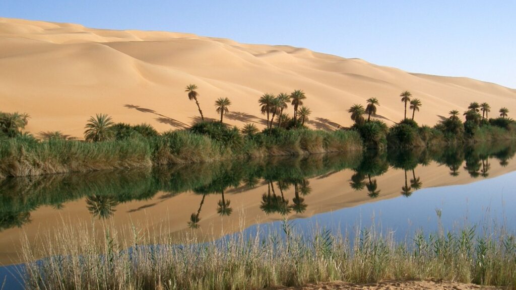 An oasis in the Libyan Sahara