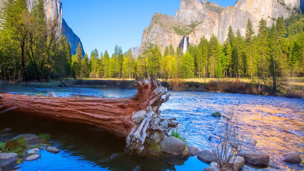 Merced River