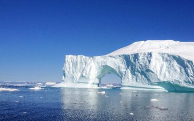 How to Survive in an Arctic Environment