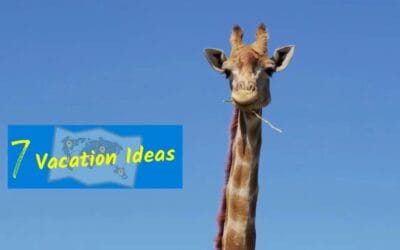 Here Are 7 Ideas for Some Globetrotting